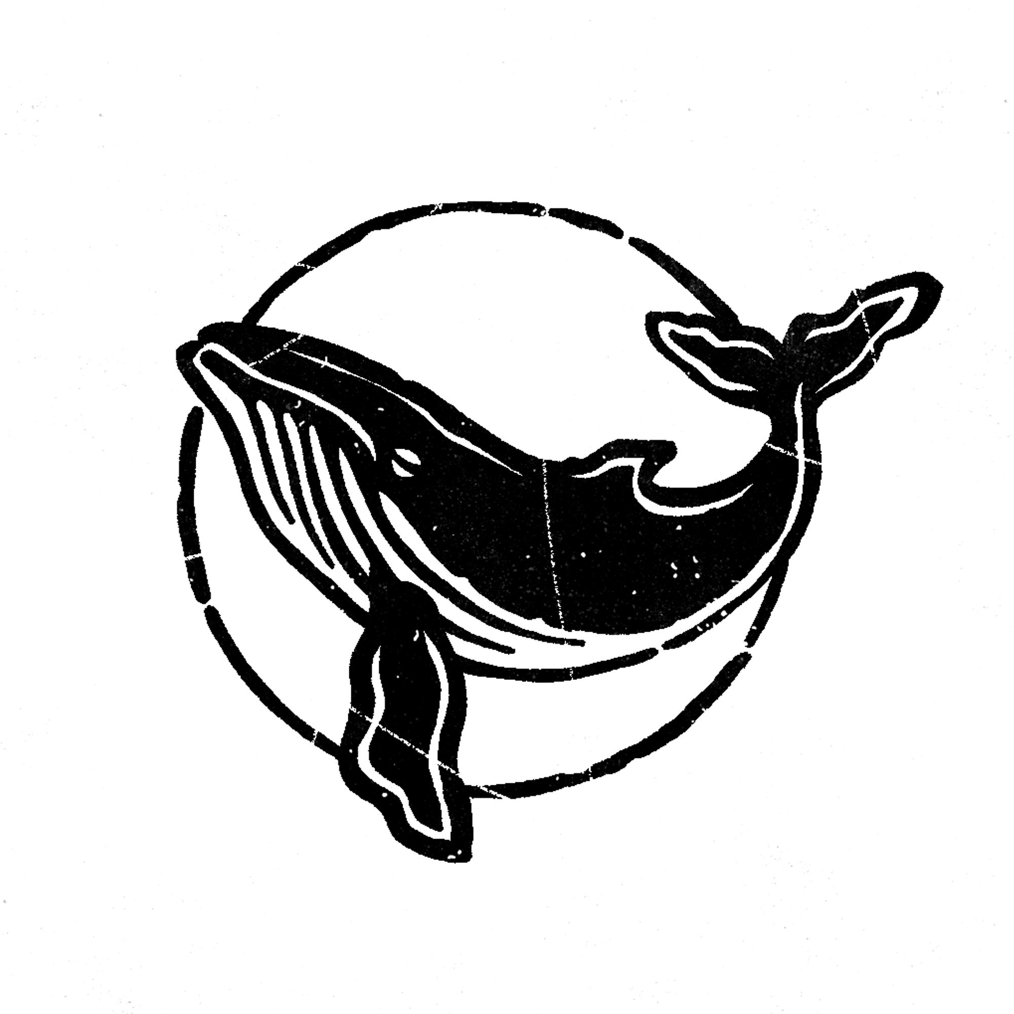 Sonic Whale Logo